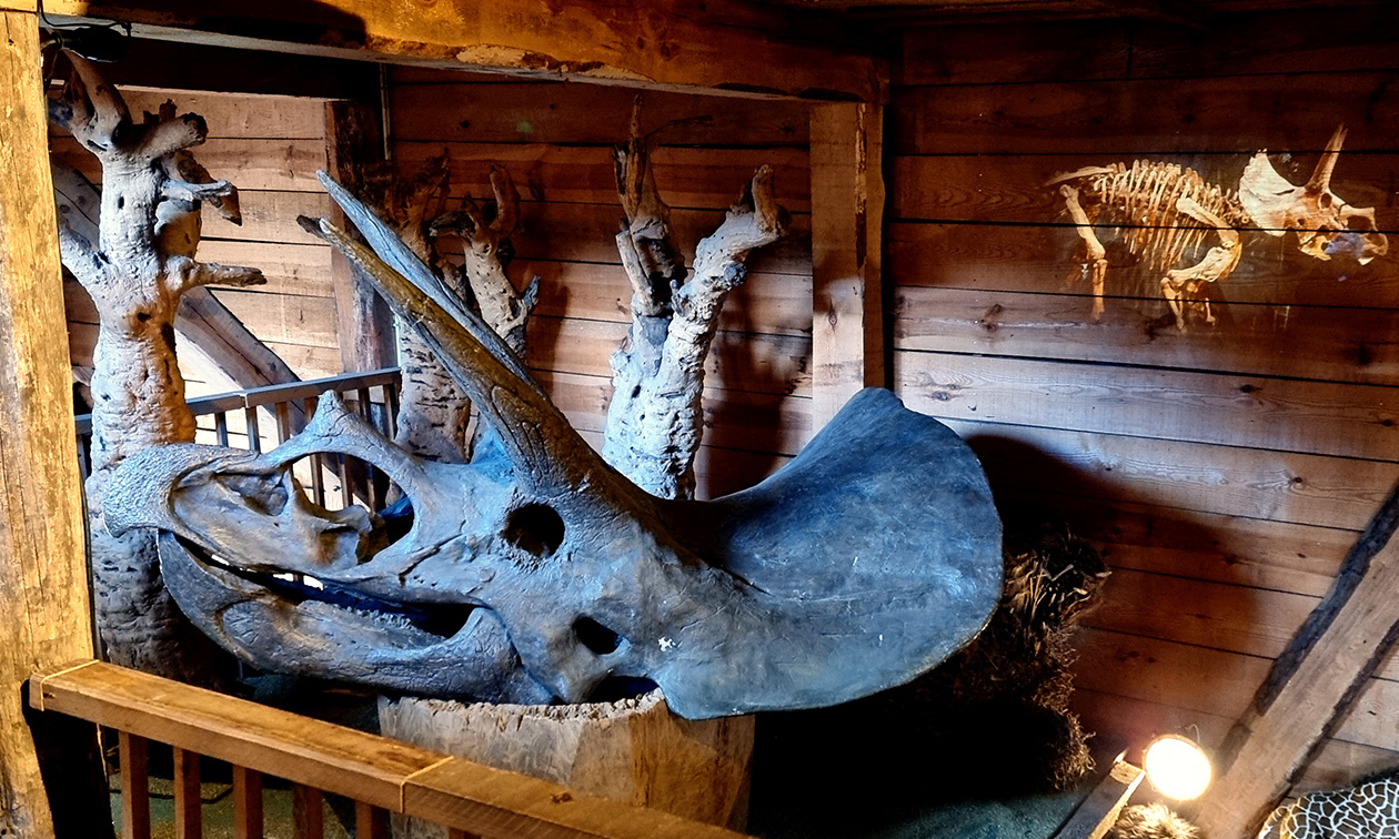 Arkmuseum Franeker