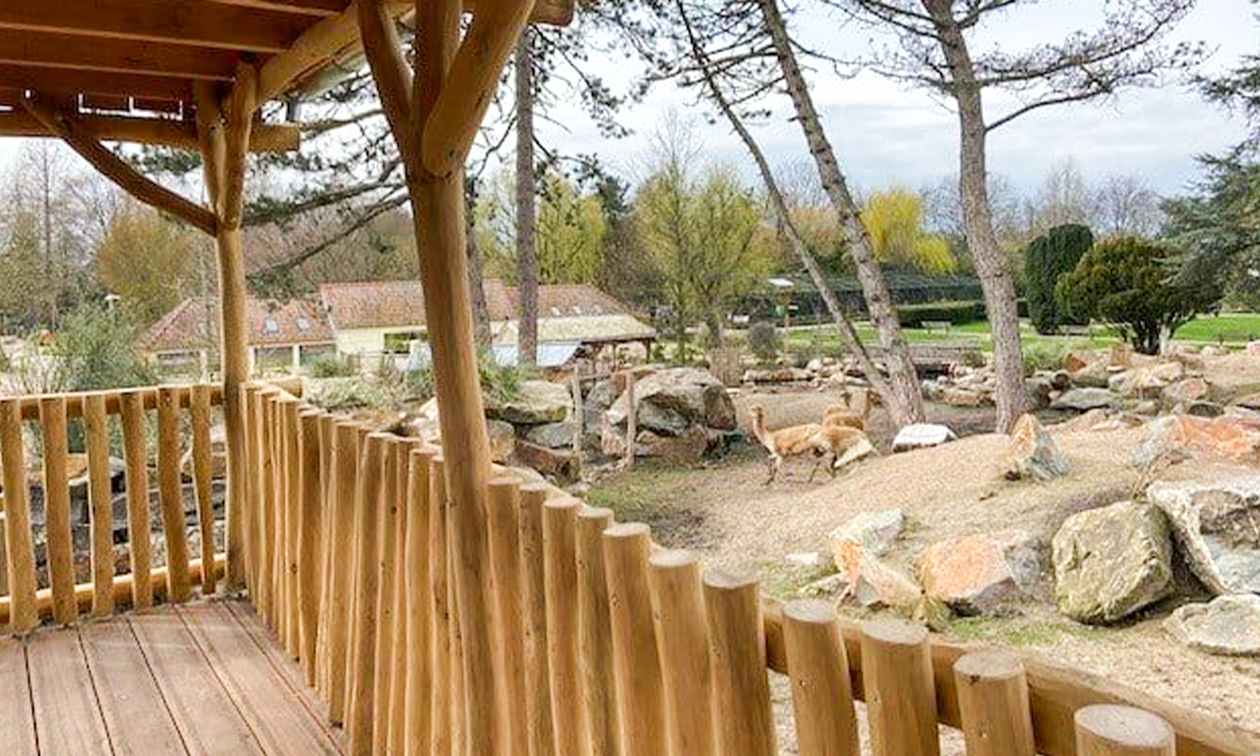 Avifauna
