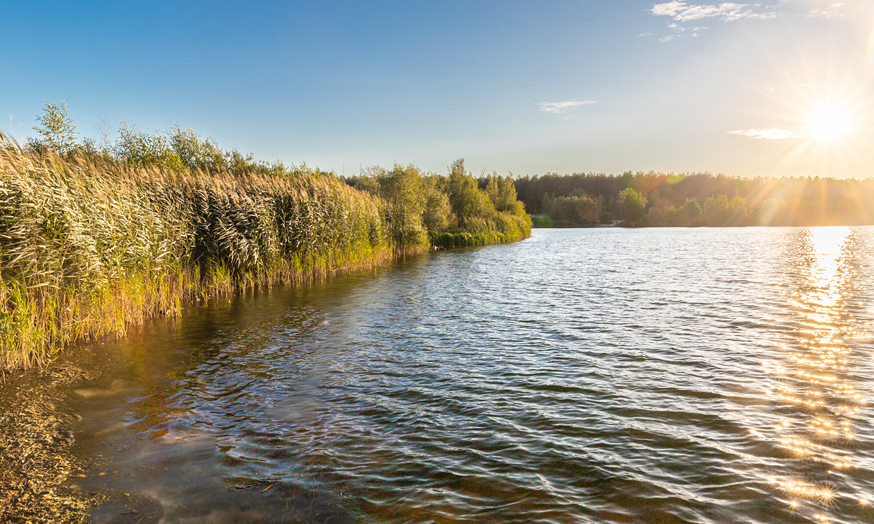 Bootverhuur de Meerpaal