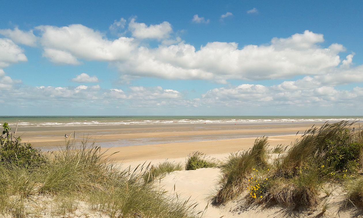 Brasserie Kommilfoo De Panne