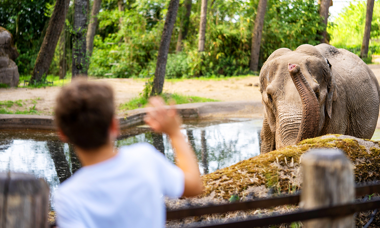 Burgers' Zoo