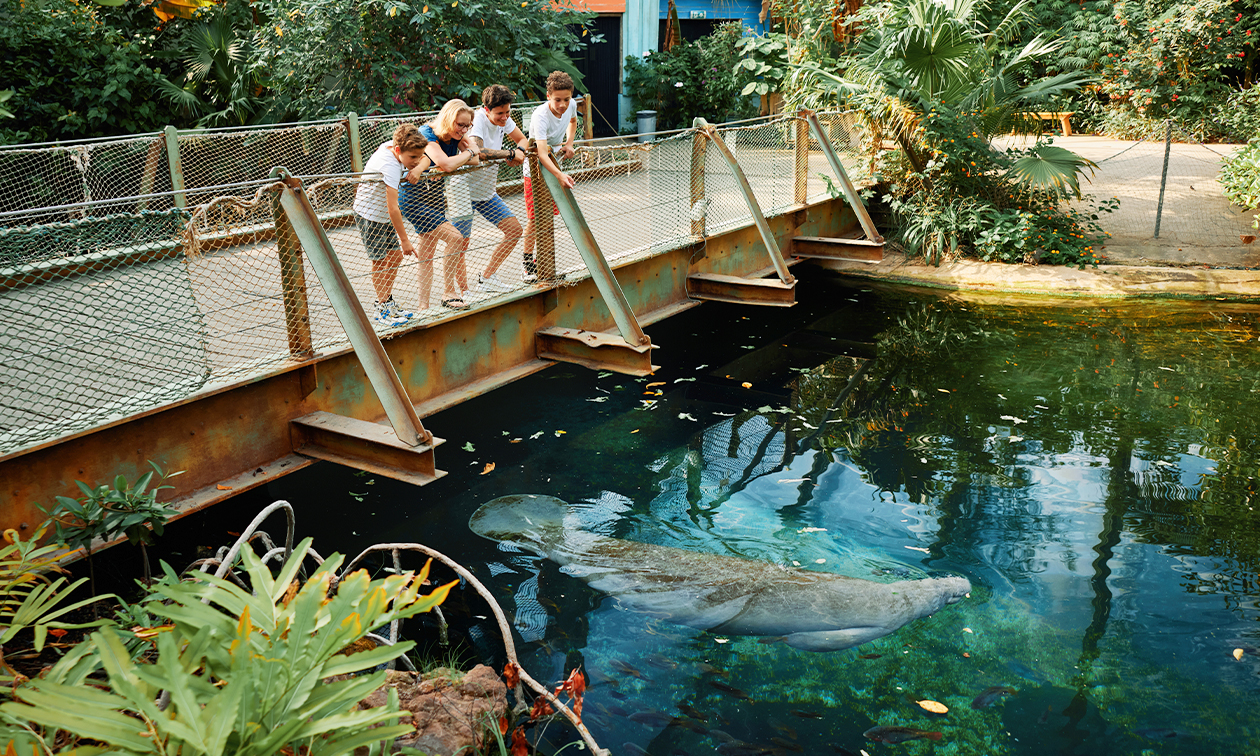 Burgers' Zoo