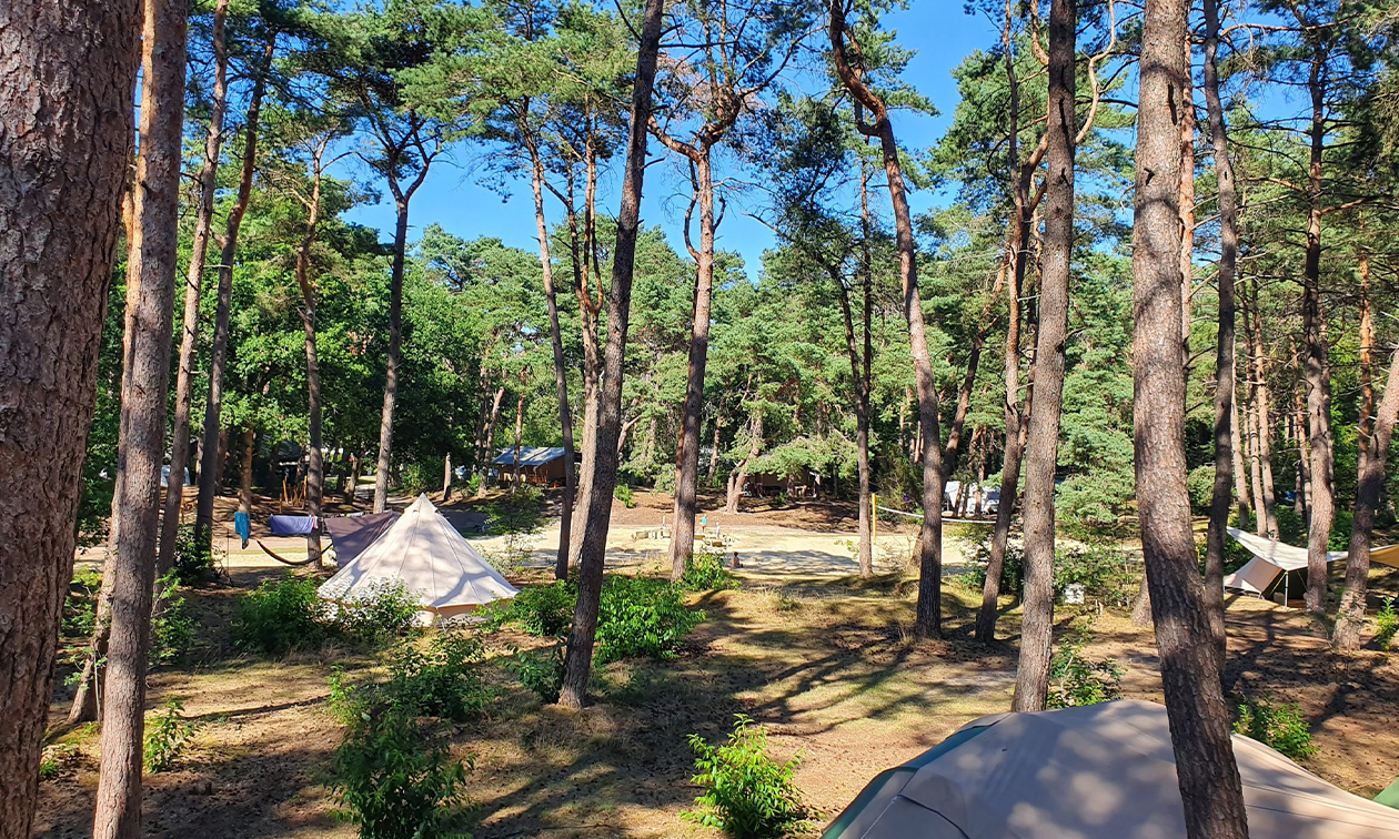 Camping het Horstmannsbos