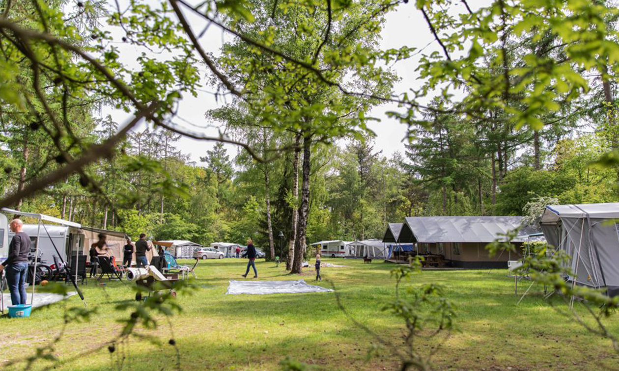 Camping het Horstmannsbos