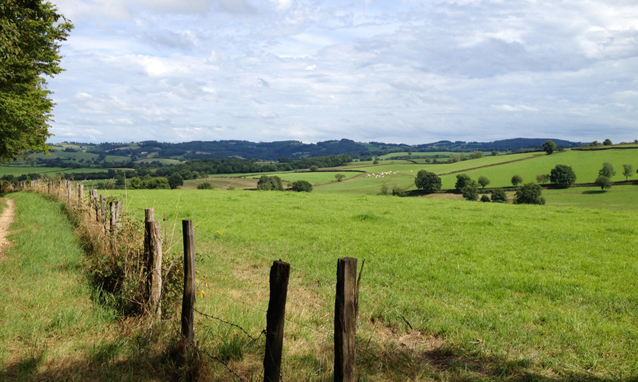 Camping La Bedure