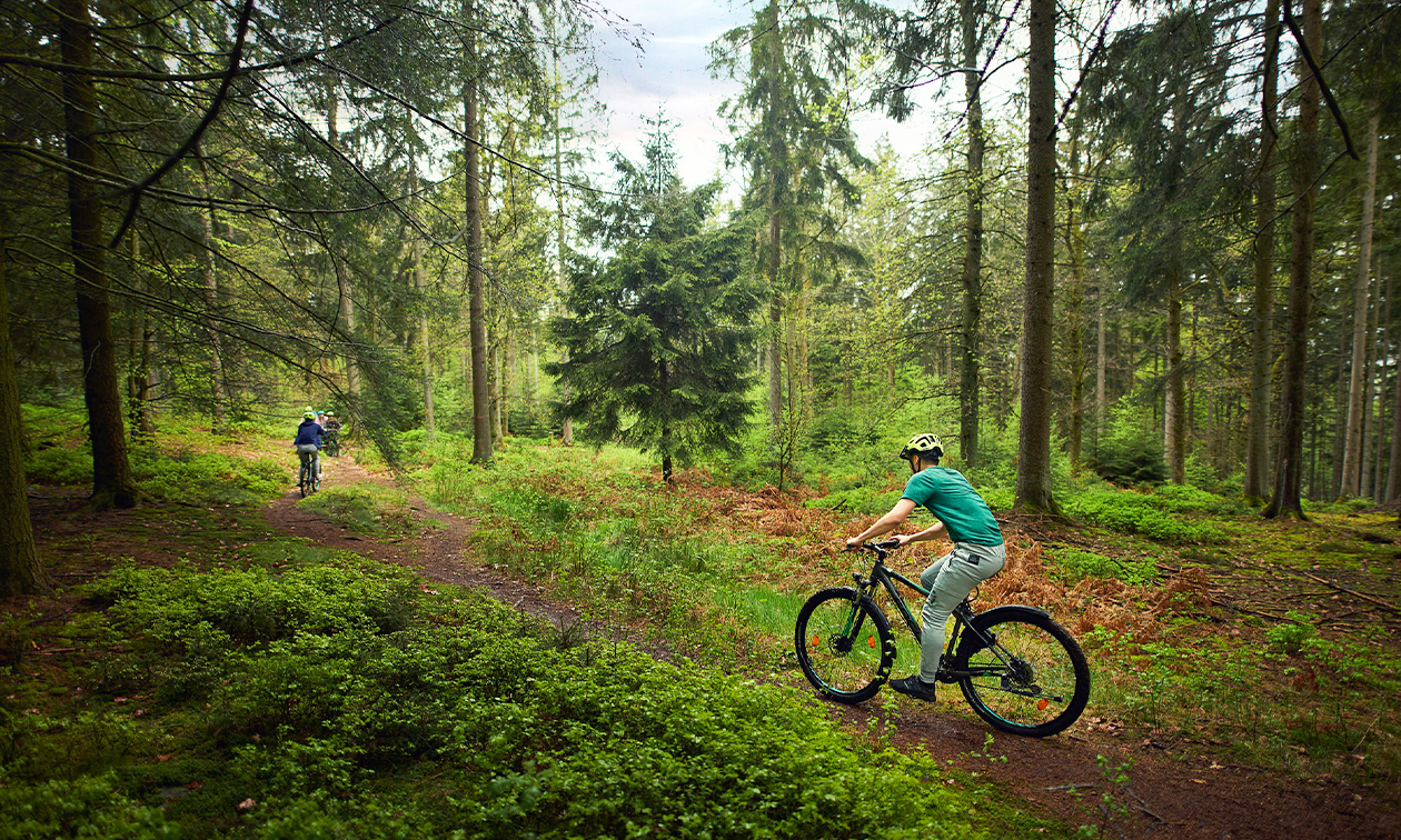 Center Parcs Les Ardennes