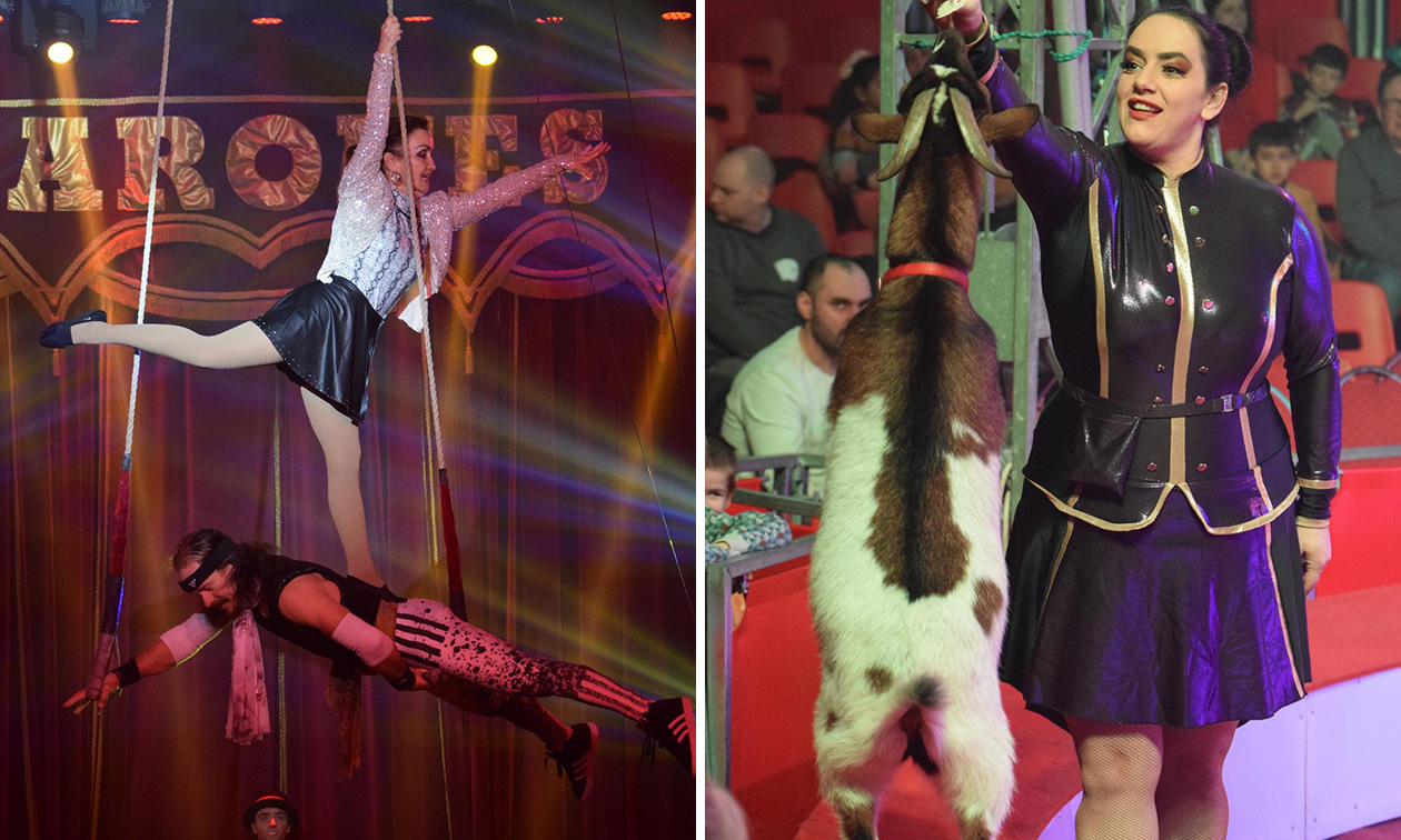 Circus Barones