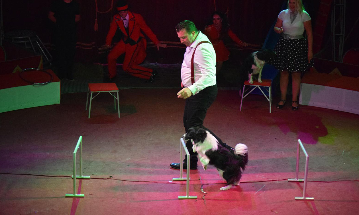 Circus Barones