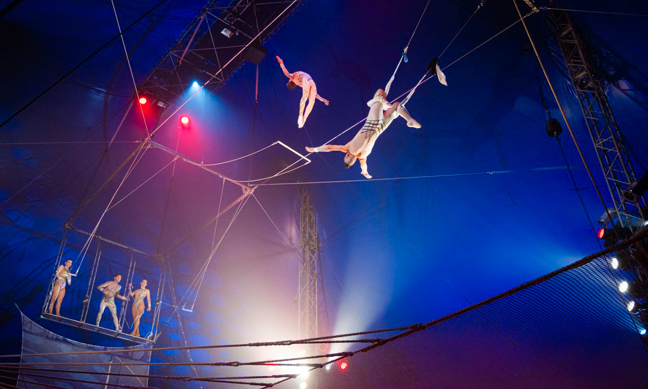 Circus Chapito