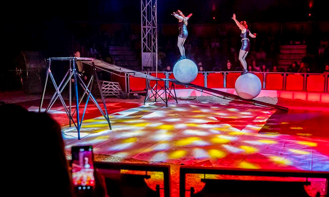 Circus Pipo