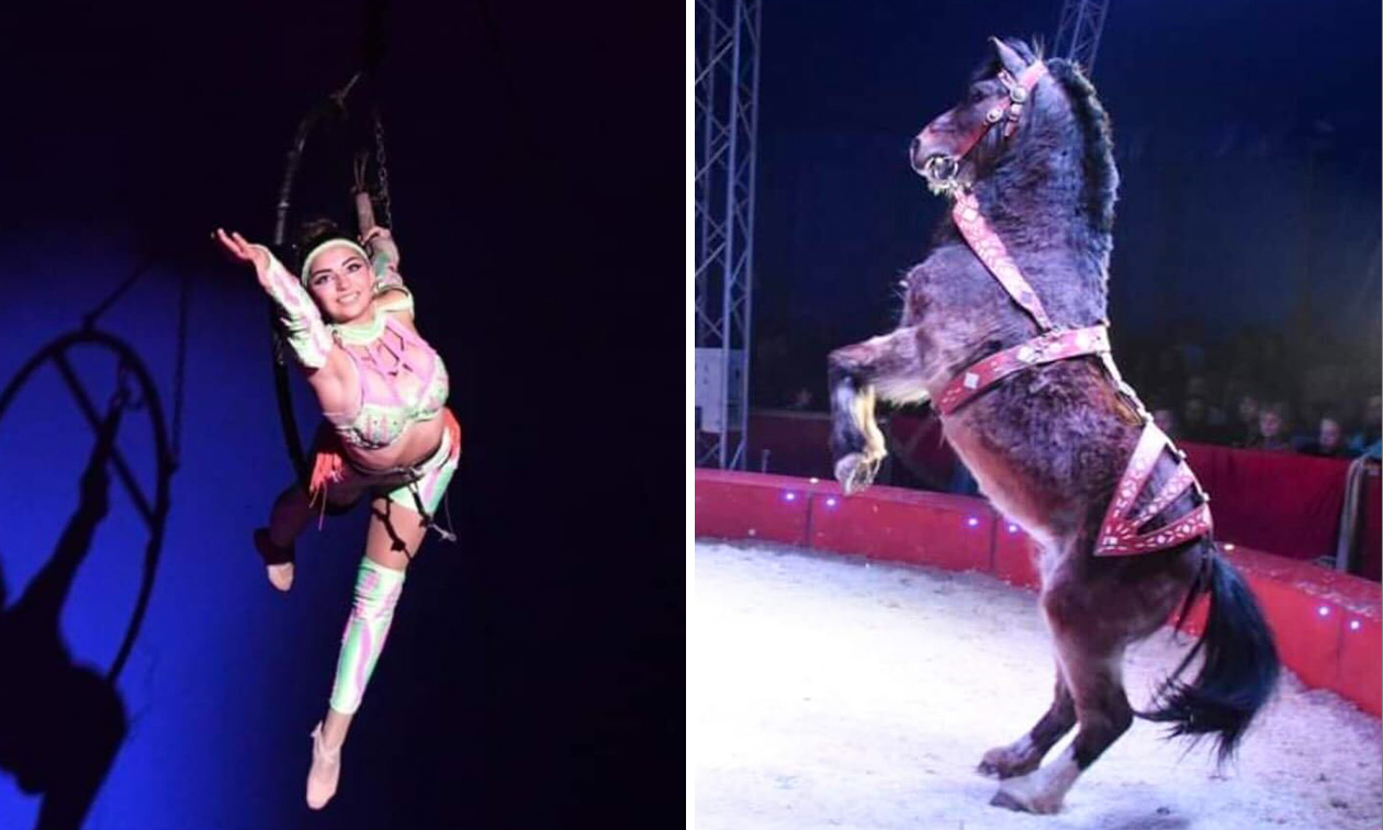 Cirque Armanzo