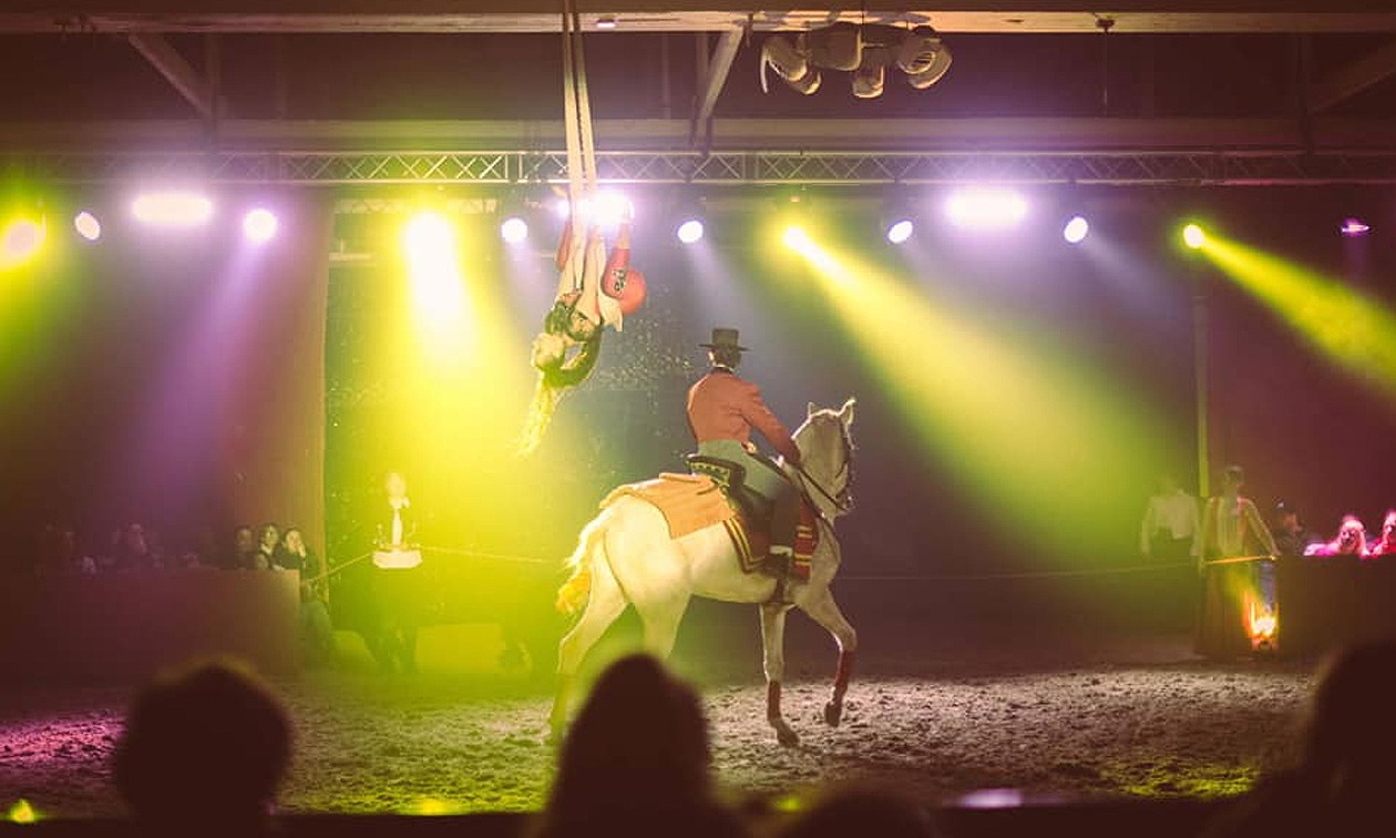 Dancing with Horses