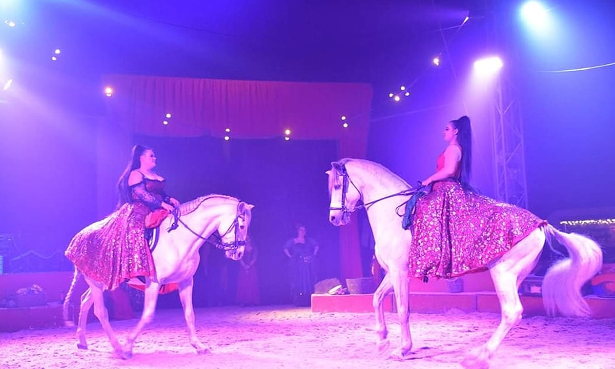 Dancing with Horses