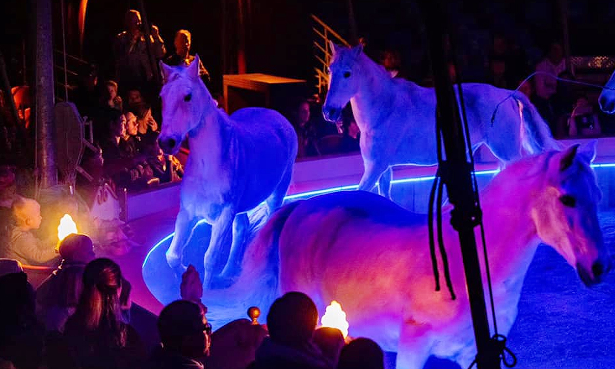 Dancing with Horses