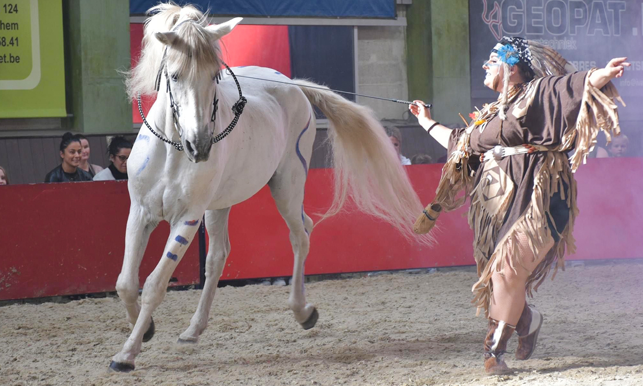 Dancing with Horses