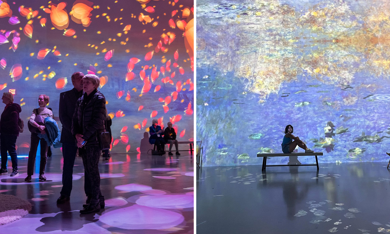 Dive (Exhibition Hub)