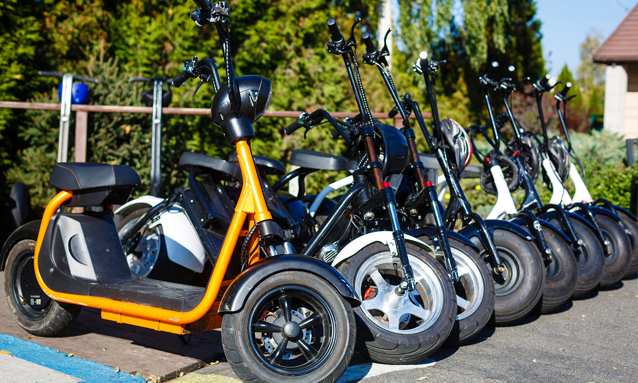 E-Chopper Fun Loonse en Drunense Duinen