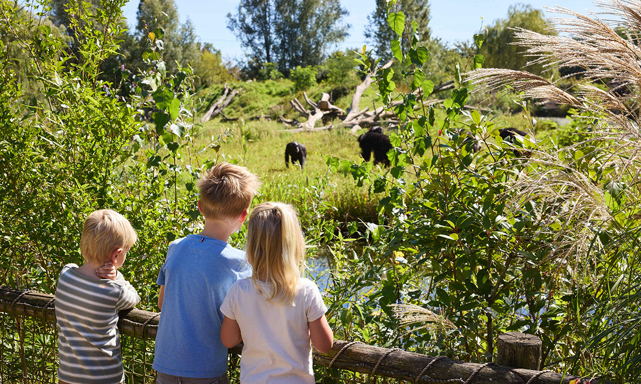 Eindhoven Zoo