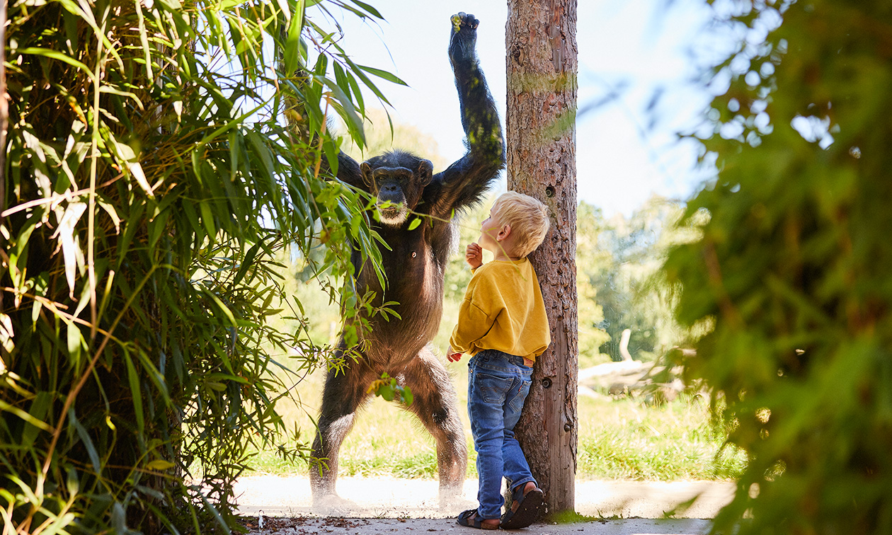Eindhoven Zoo