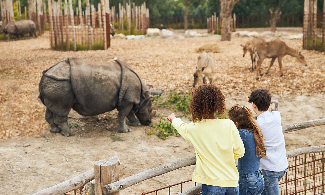 Eindhoven Zoo