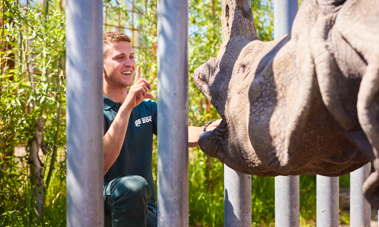 Eindhoven Zoo