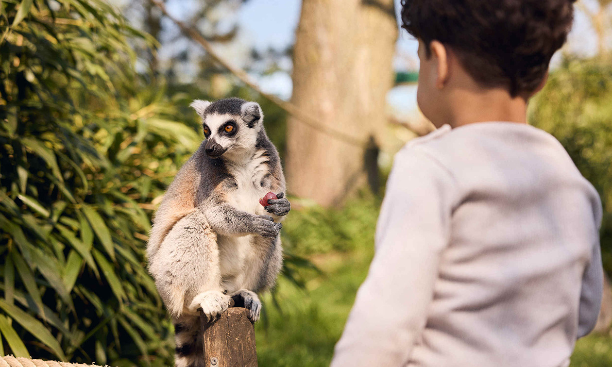 Eindhoven Zoo