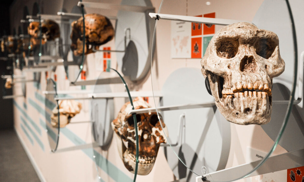 Espace muséal d'Andenne