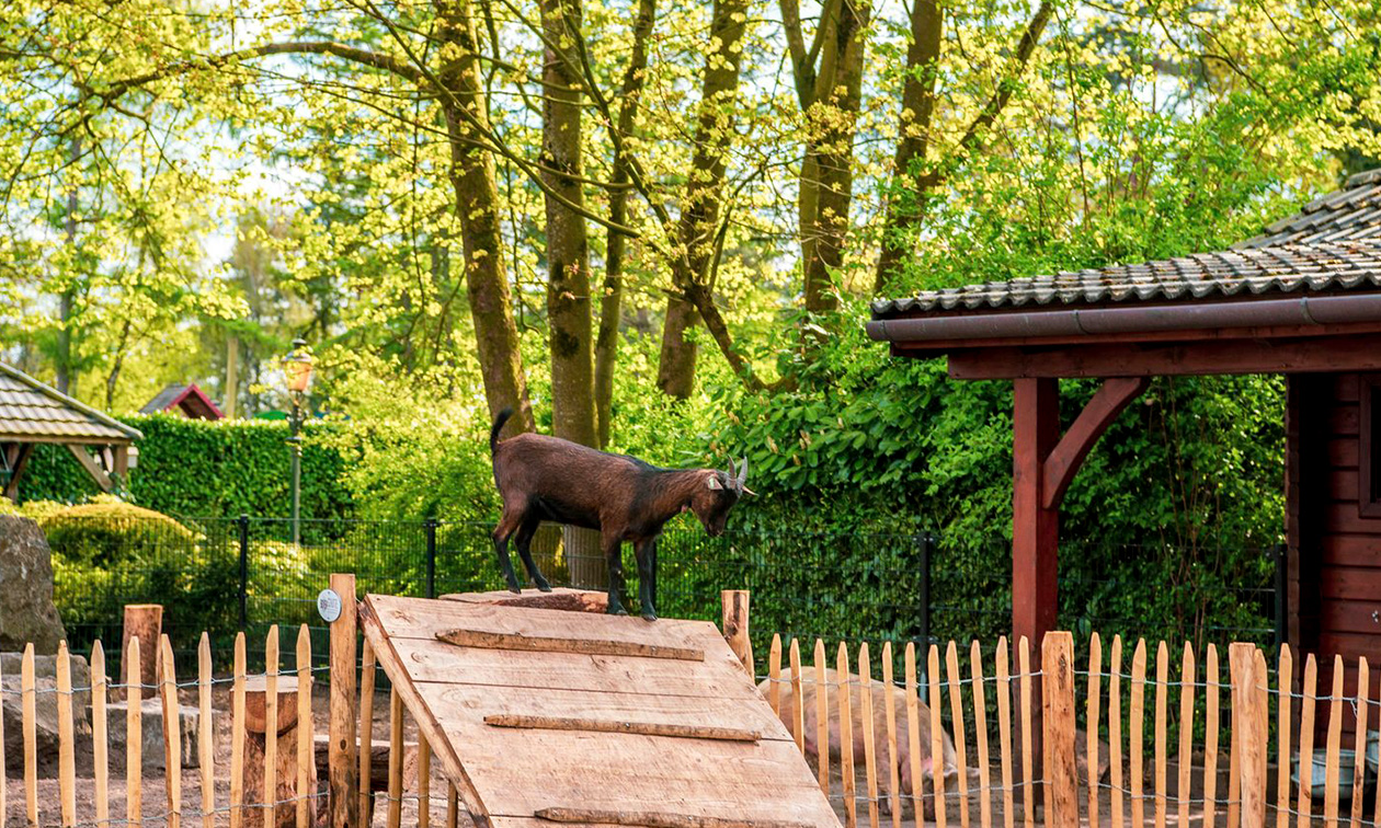 EuroParcs Achterhoek