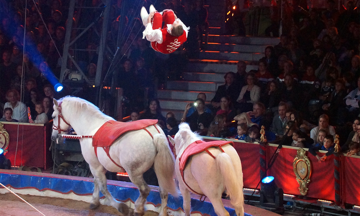 Festival du Cirque de Namur