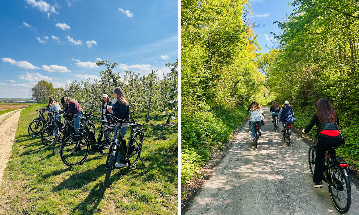 Fietsverhuur Haspengouw