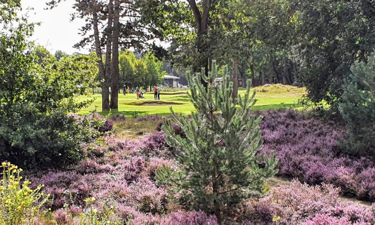 Golfpark Soestduinen