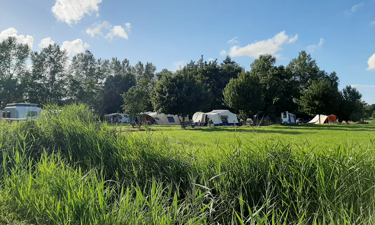 De Hammerslag
