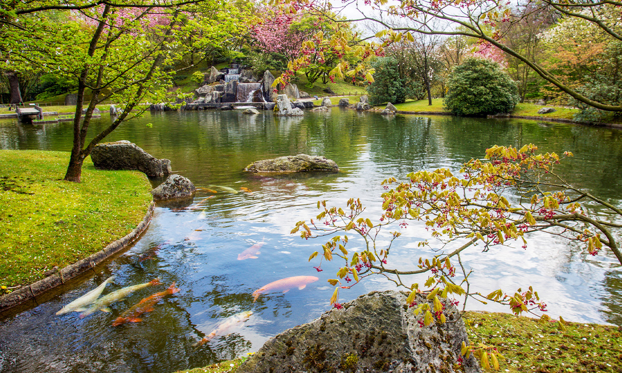 Haspengouw Tours Vliermaal