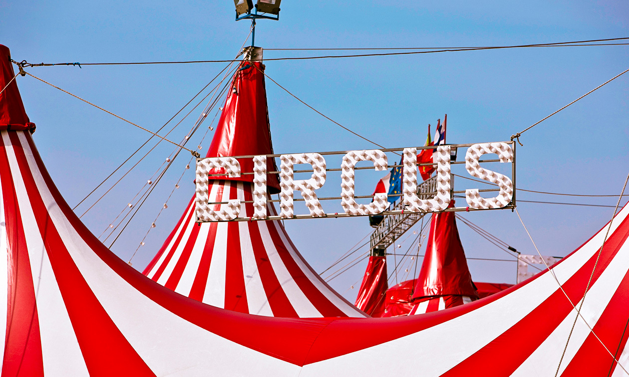 SinterCirque, het grote Limburgse Sinterklaas circus