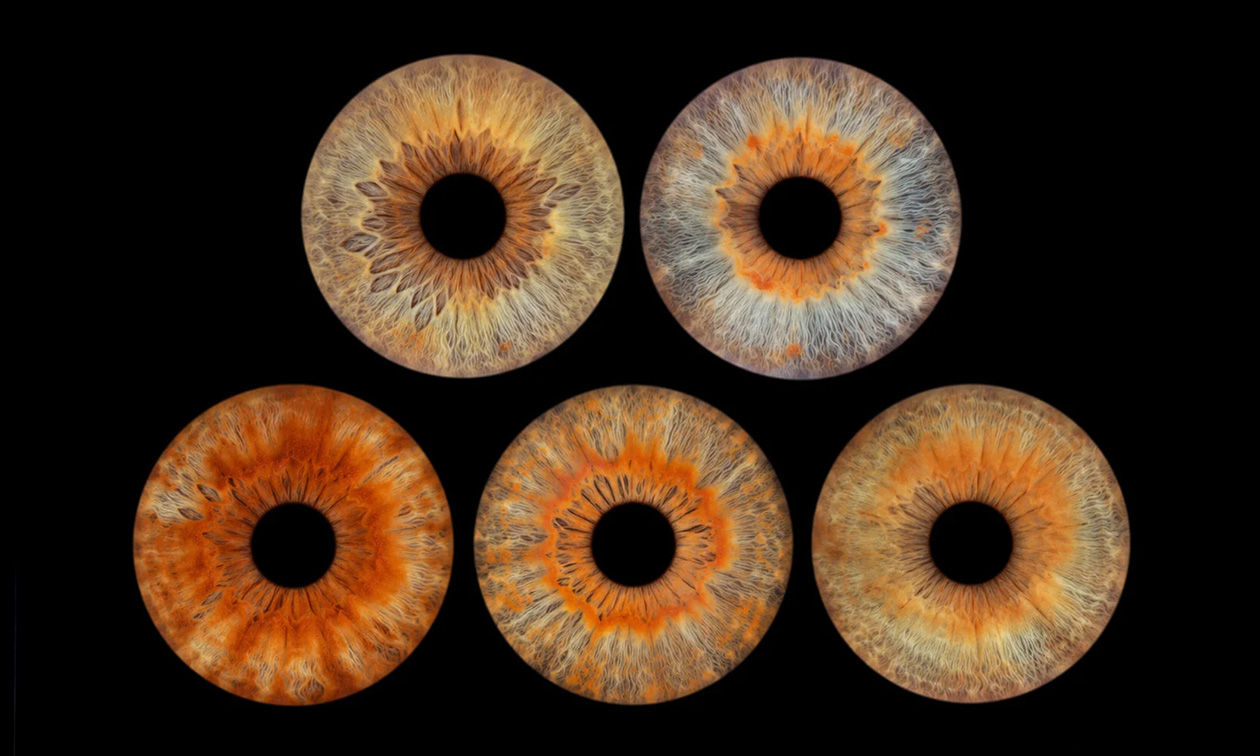 Het Oog Atelier