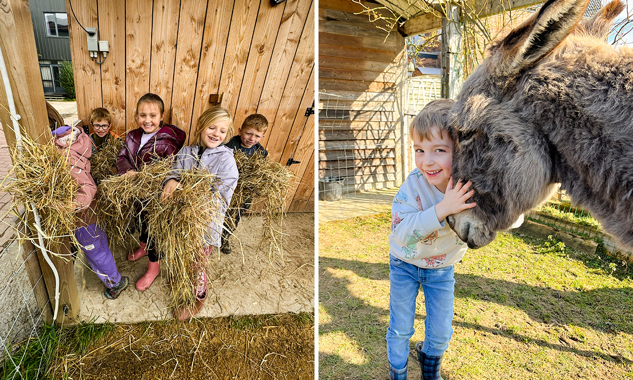 Hoeve op den Mierhoop