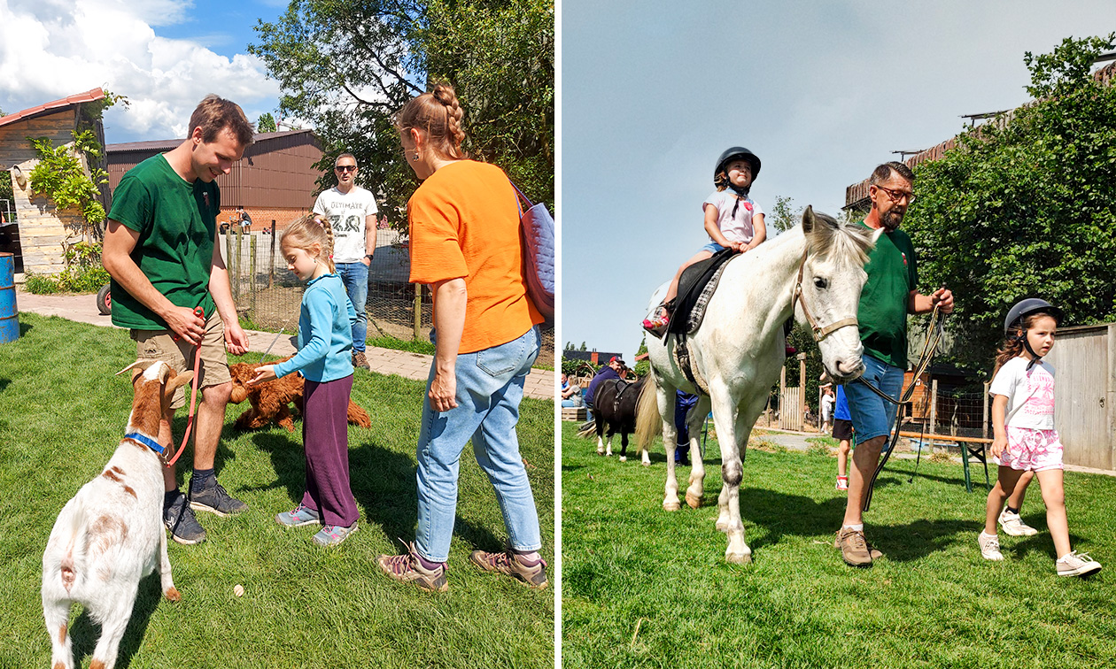 Hoeve op den Mierhoop