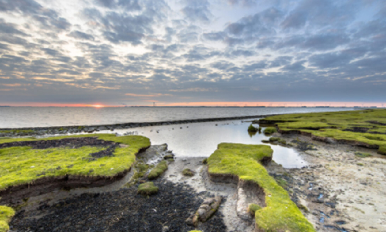 Hotel Waddengenot