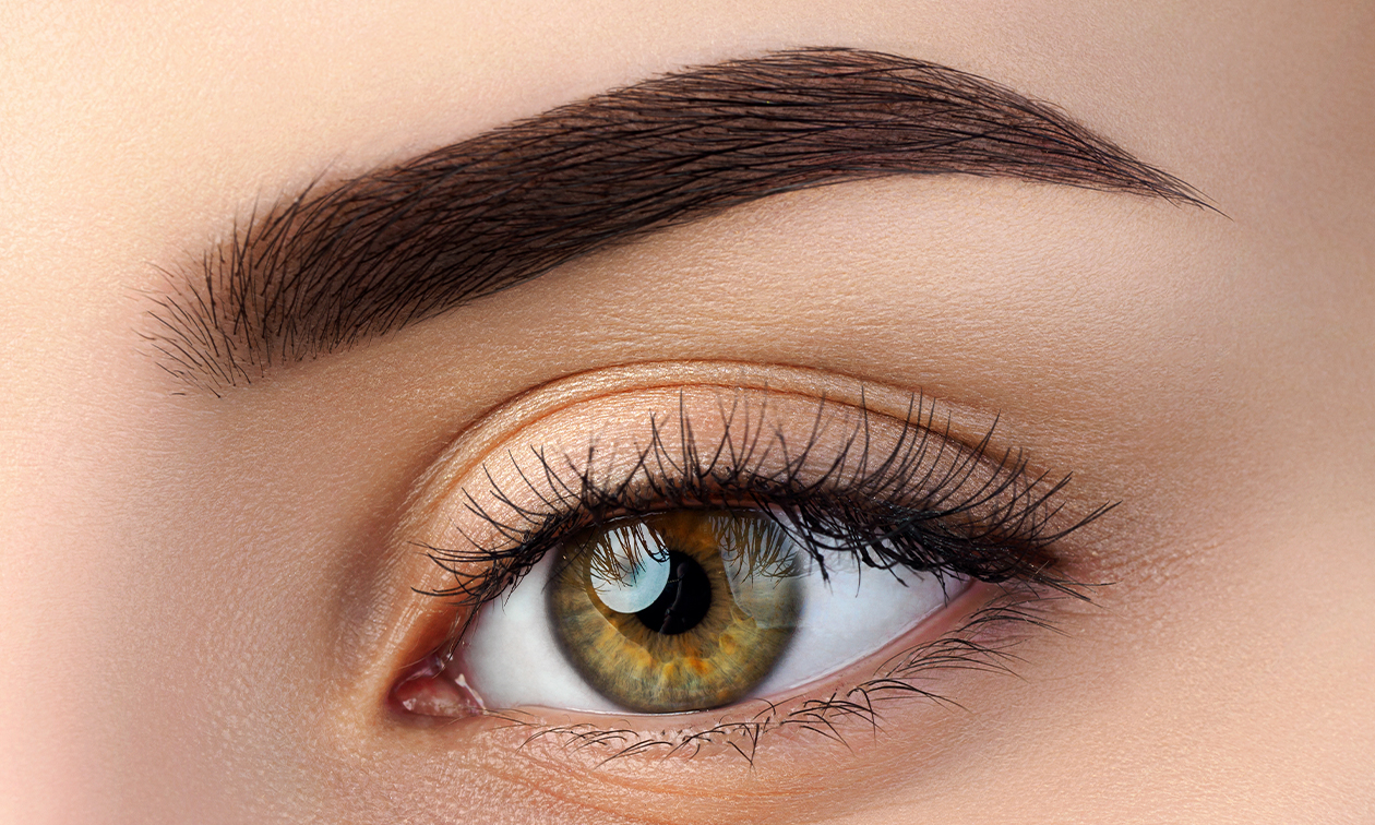 HQN Brows and More