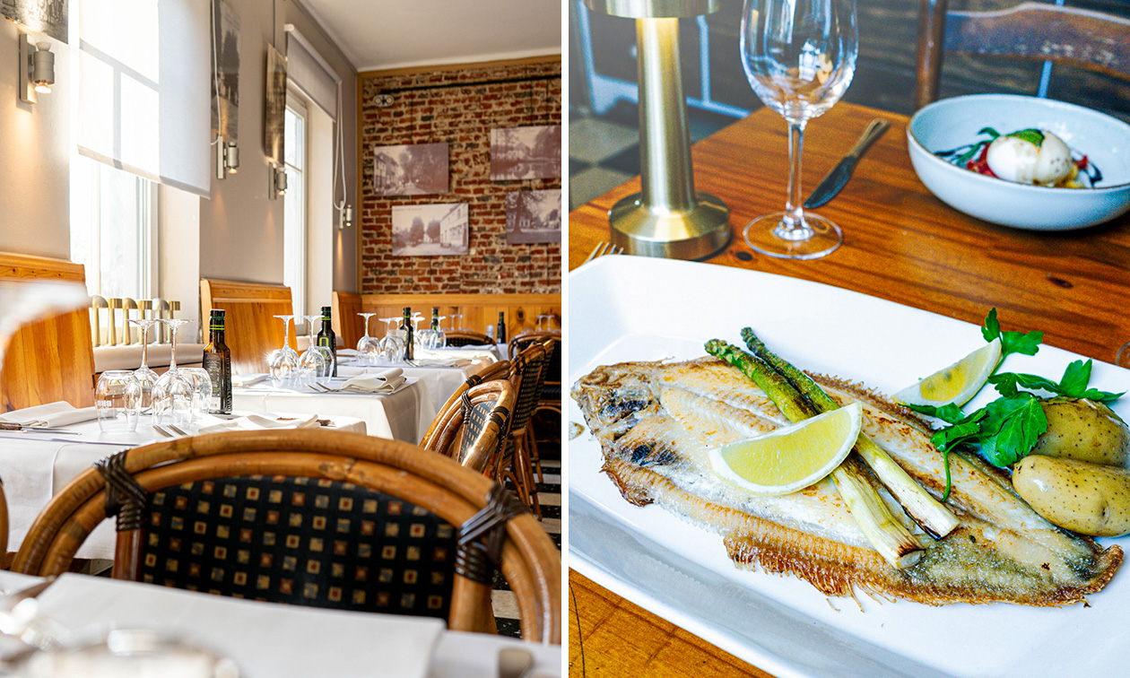 Kzeg a Moda - Olifant