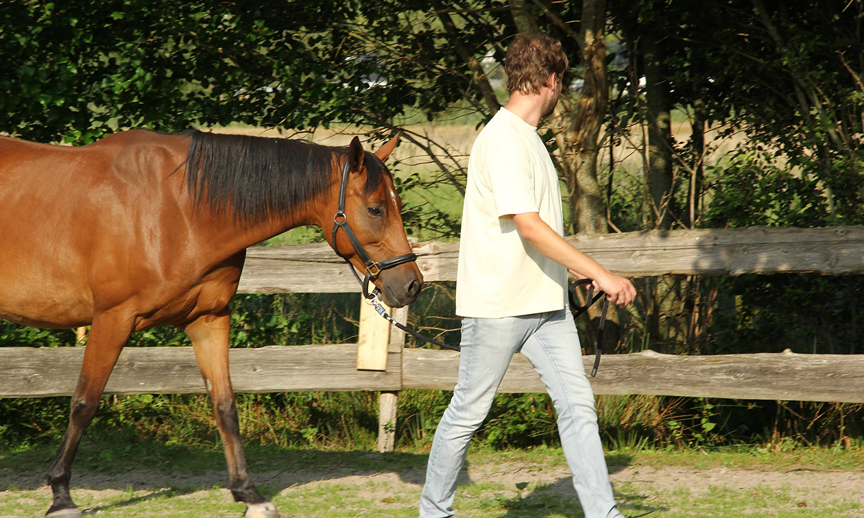 Leadrope Coaching