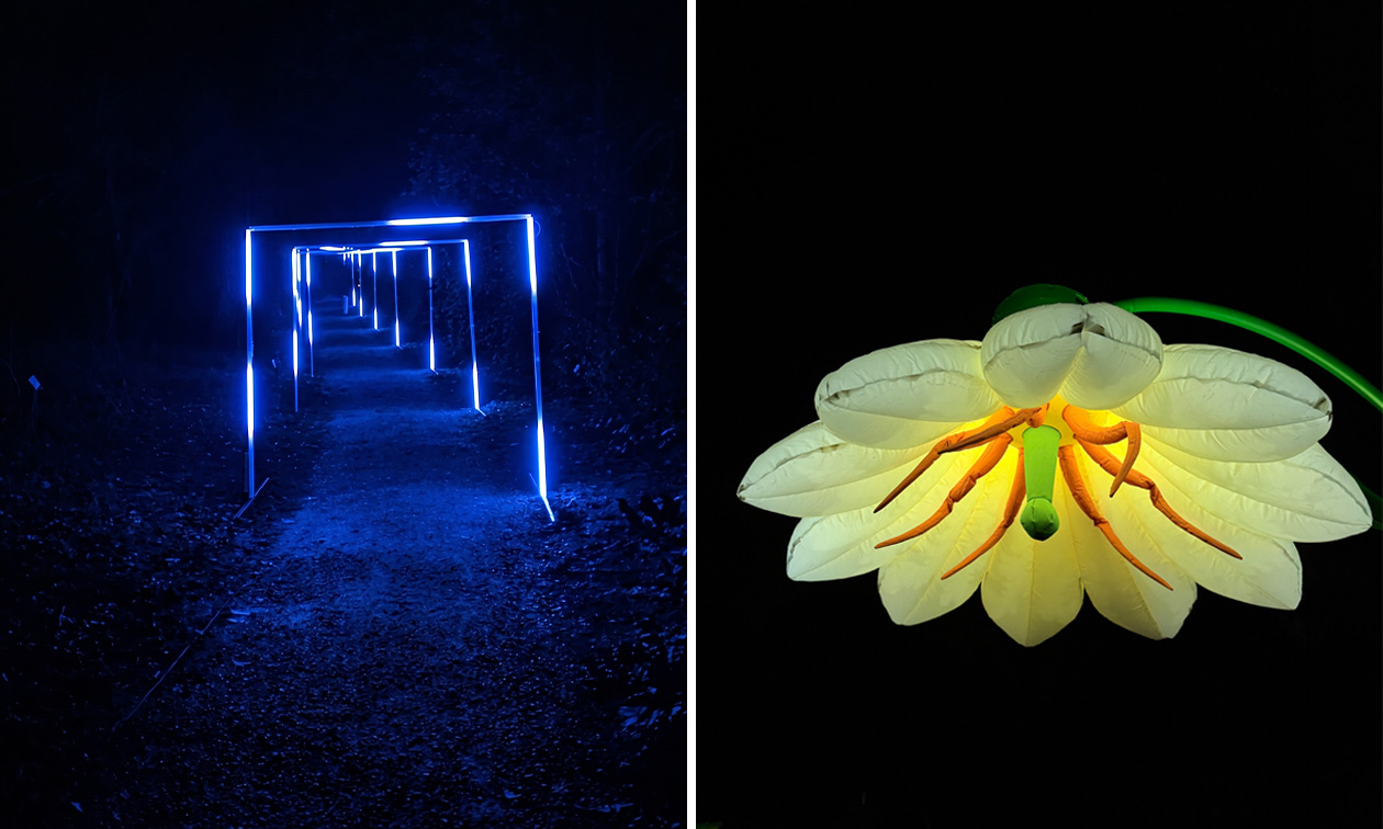 Lumina Rolduc - Lichtkunst in de Abdij