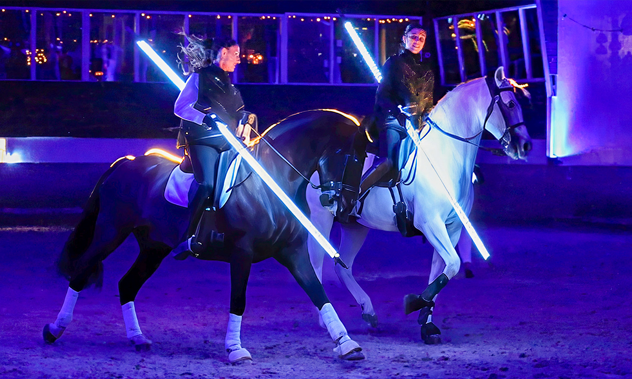 Meraki Horse Show