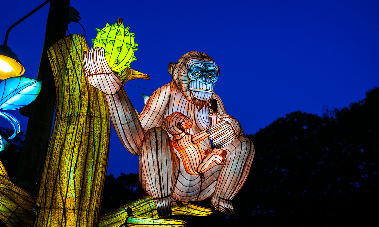 Ouwehands Dierenpark Rhenen