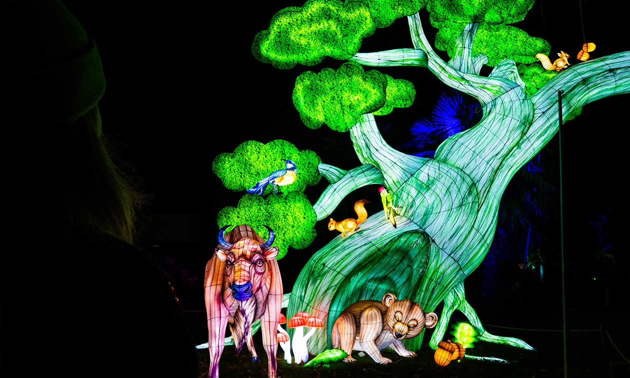 Ouwehands Dierenpark Rhenen