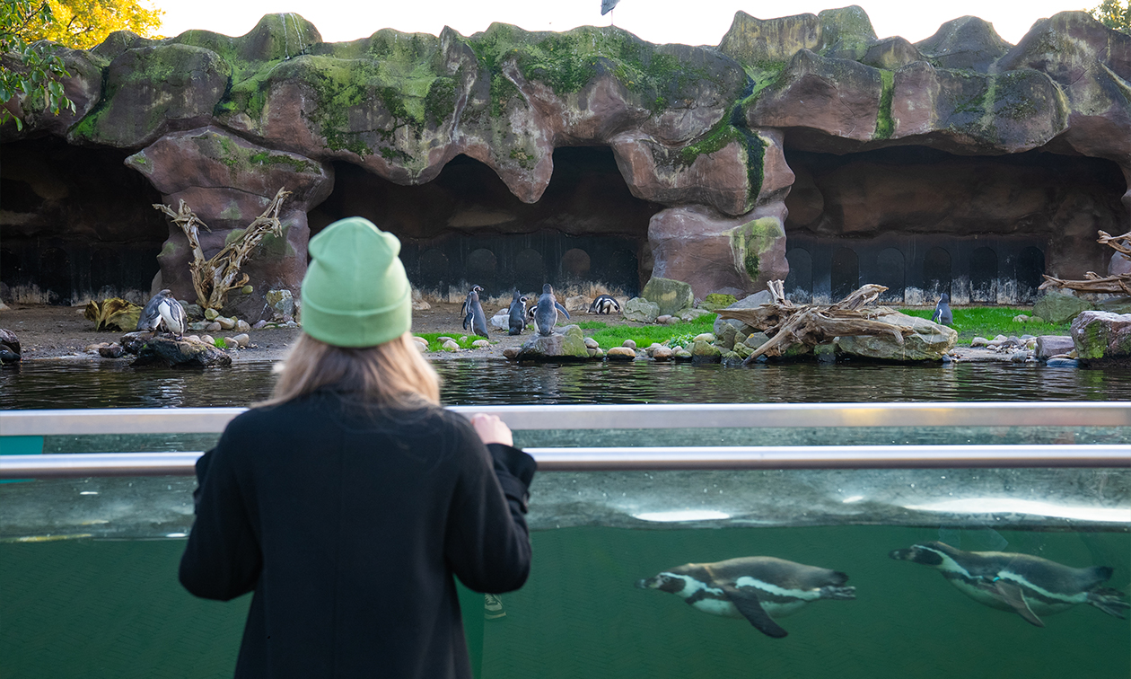 Ouwehands Dierenpark Rhenen