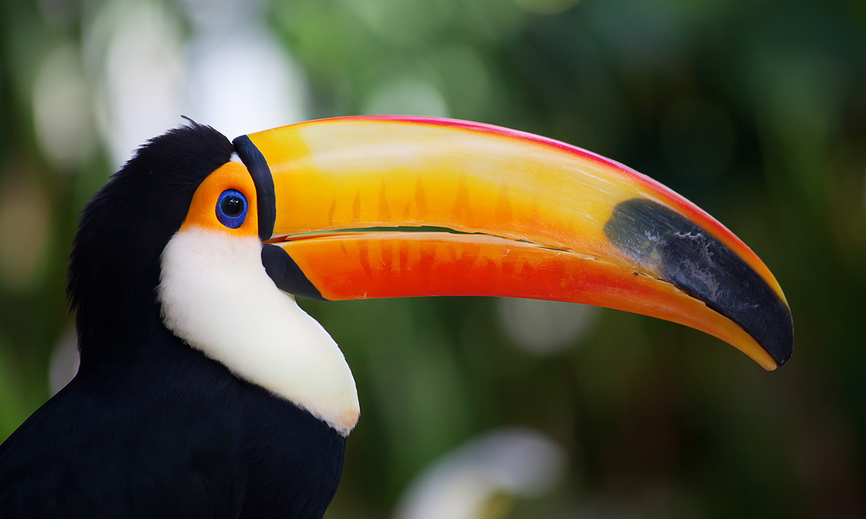 Ouwehands Dierenpark Rhenen