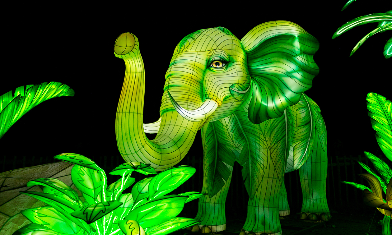 Ouwehands Dierenpark Rhenen