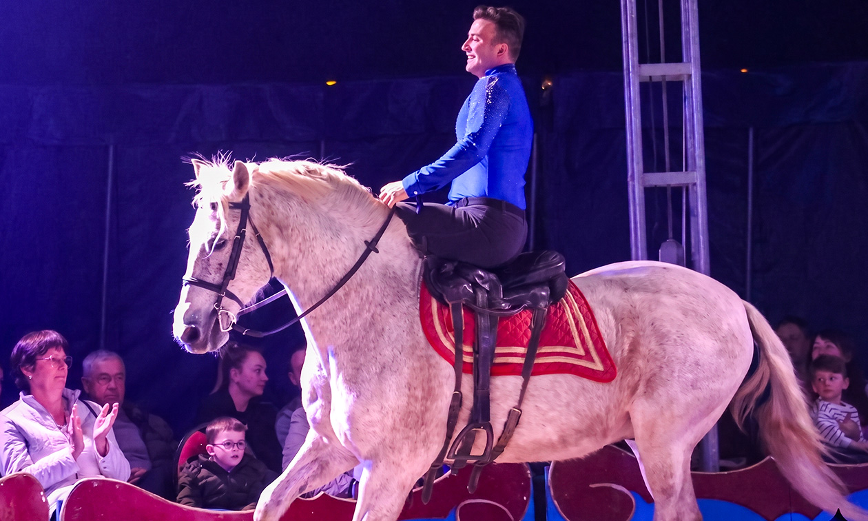 Paardencircus Tetam