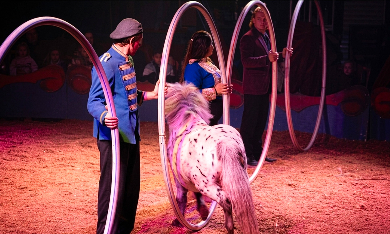 Paardencircus Tetam